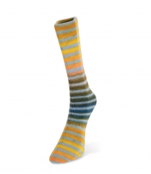 Paint Sock (Laines du Nord) цвет 90, пряжа 100г