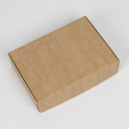 7302879 подарочная коробка крафт 21х15х5 см