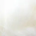Fleurdelise (Silke) 100 белый, пряжа 25г