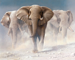 VA-3287 &quot;Три слона (худ. Венинг Я.)&quot; картина по номерам