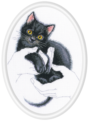 Вышивка бисером наборы картина Радужный кот 24*30 см