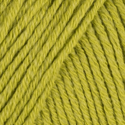 Spring Wool (Laines du Nord) 19 летняя зелень, пряжа 50г