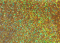 Золото голографическое глиттер 0,2 мм 20мл в баночке с крышкой 