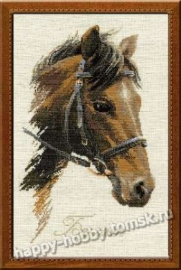 Набор для вышивания: Дикая лошадь