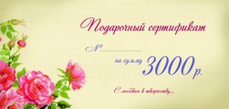 Бумажный подарочный сертификат на 3 000 руб.