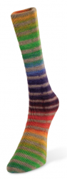 Paint Sock (Laines du Nord) цвет 20, пряжа 100г