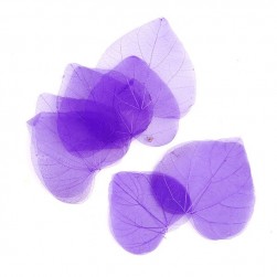 TBY.LB.02 цв.8 фиолетовый, скелетированные листочки 10шт