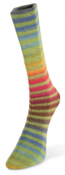 Paint Sock (Laines du Nord) цвет 60, пряжа 100г