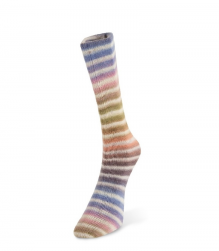 Paint Sock (Laines du Nord) цвет 70, пряжа 100г